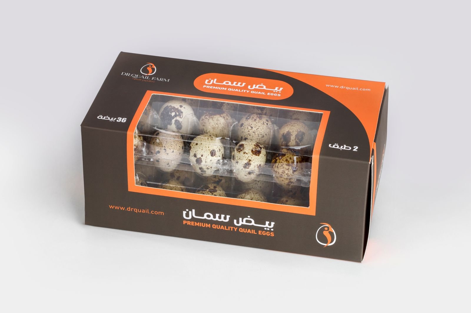 WhatsApp Image 2025-09-18 at 11.04.52 AM