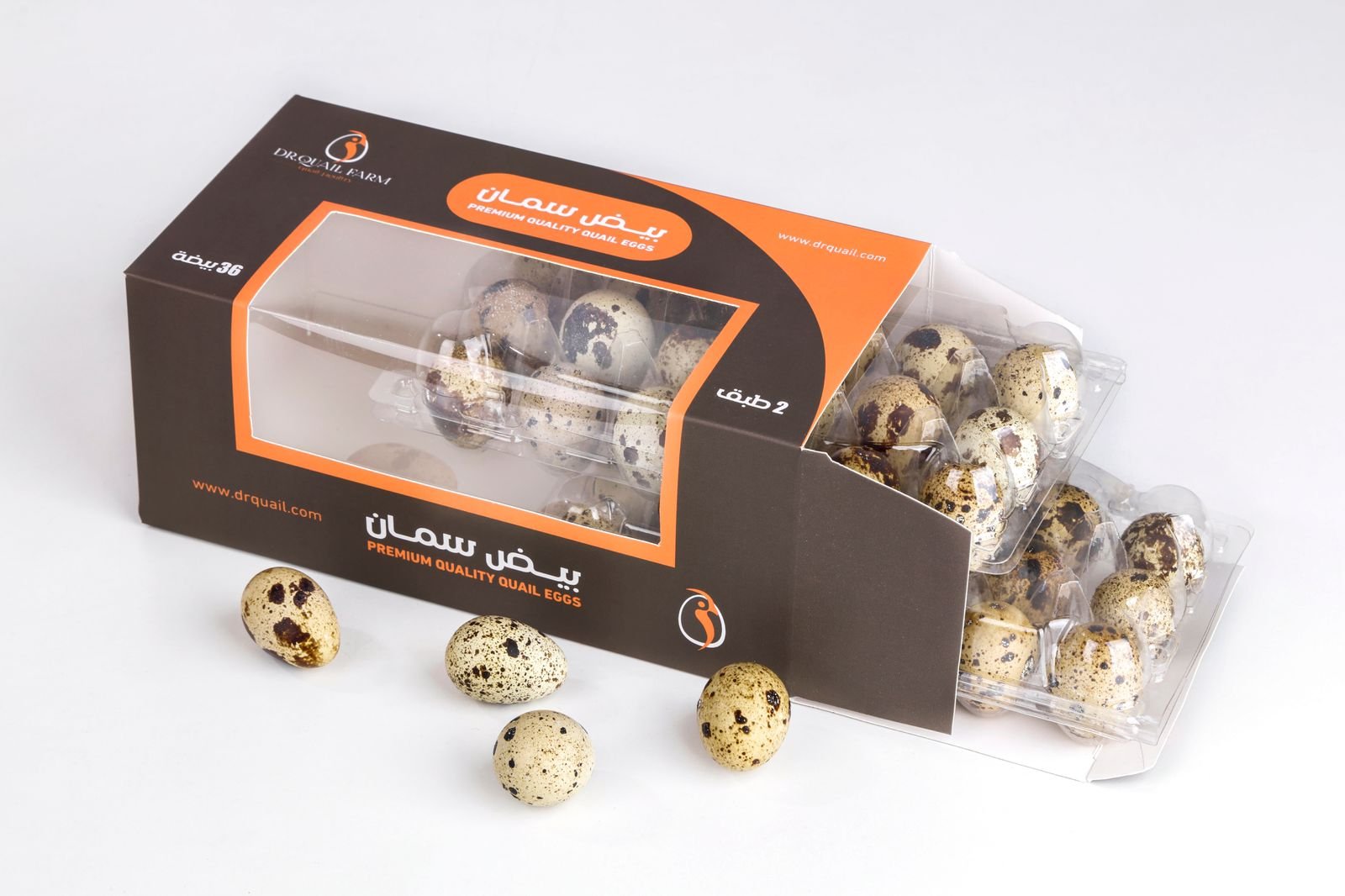 WhatsApp Image 2025-09-18 at 11.04.53 AM (1)