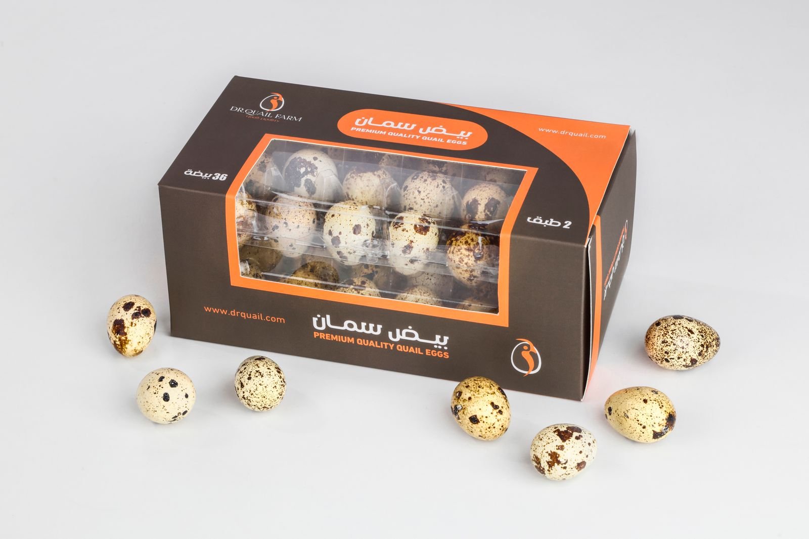 WhatsApp Image 2025-09-18 at 11.04.53 AM (2)