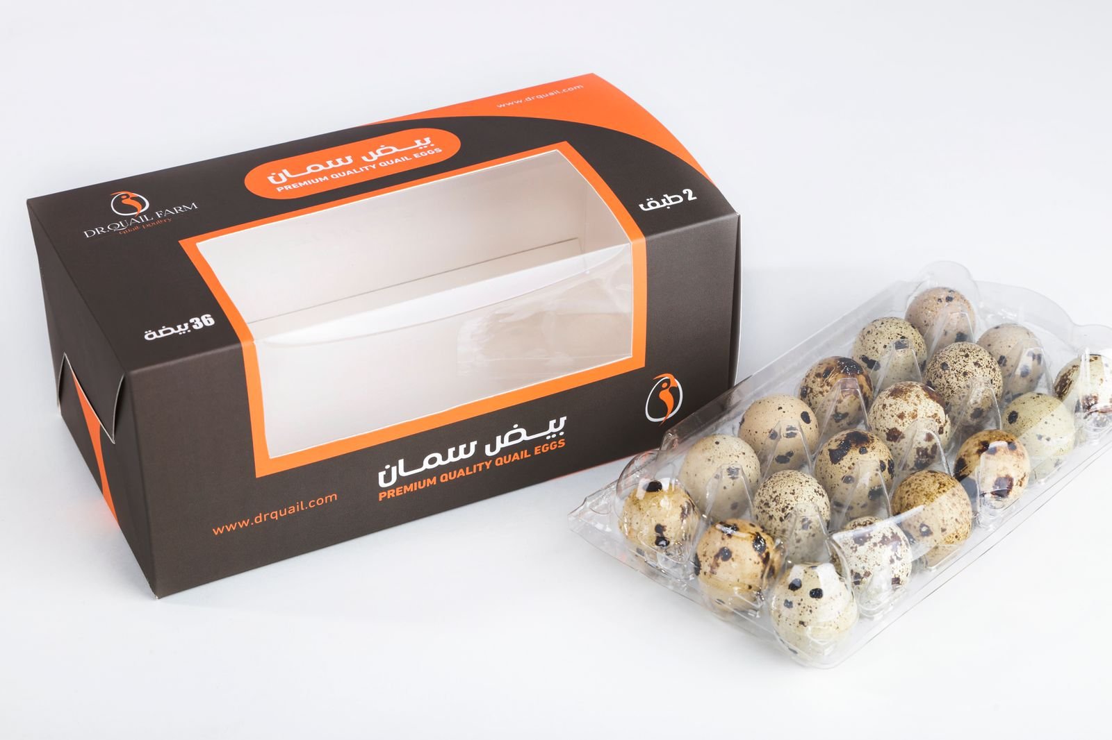 WhatsApp Image 2025-09-18 at 11.04.53 AM